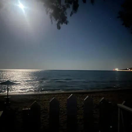 Seaside 12 *