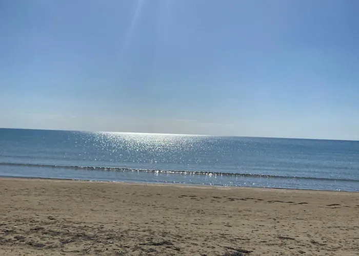 Apartament Seaside 12 *